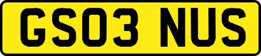 GS03NUS