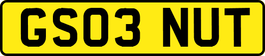 GS03NUT
