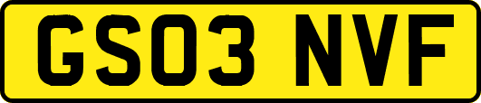 GS03NVF