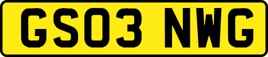 GS03NWG