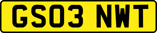 GS03NWT
