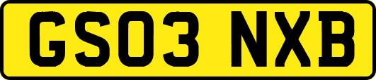 GS03NXB