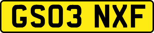 GS03NXF