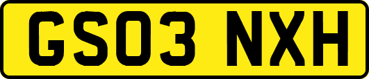 GS03NXH
