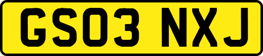 GS03NXJ