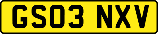 GS03NXV