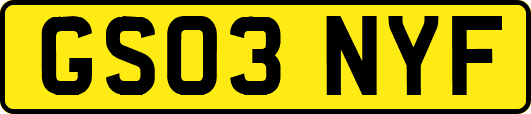 GS03NYF