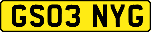 GS03NYG