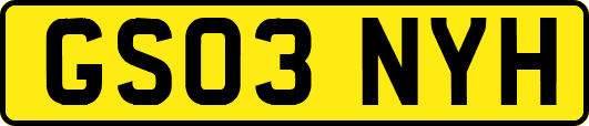 GS03NYH