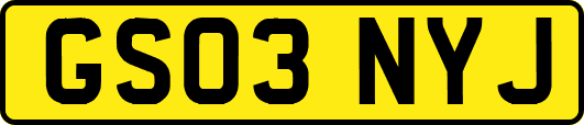 GS03NYJ