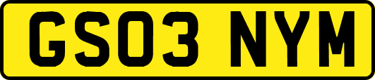 GS03NYM