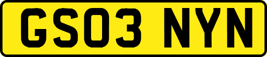 GS03NYN