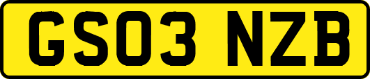 GS03NZB
