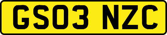 GS03NZC
