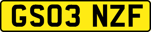 GS03NZF