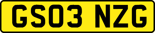 GS03NZG