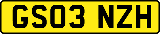 GS03NZH