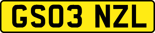 GS03NZL