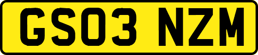 GS03NZM