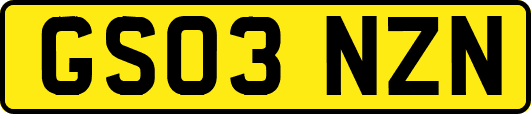 GS03NZN