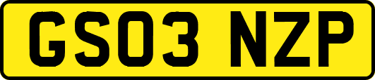 GS03NZP