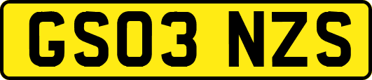 GS03NZS