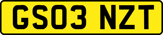 GS03NZT