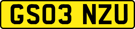 GS03NZU