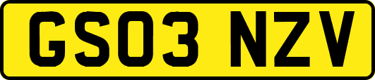 GS03NZV