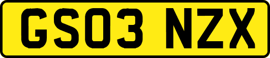 GS03NZX