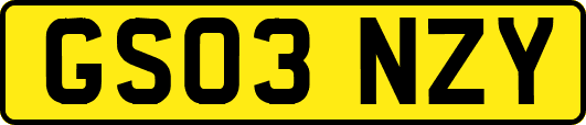 GS03NZY