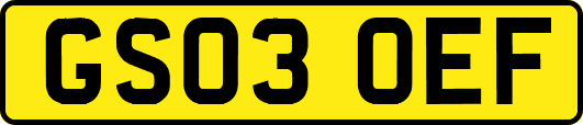 GS03OEF
