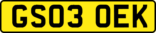 GS03OEK