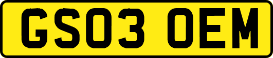 GS03OEM