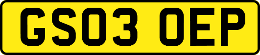 GS03OEP