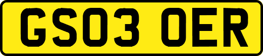 GS03OER