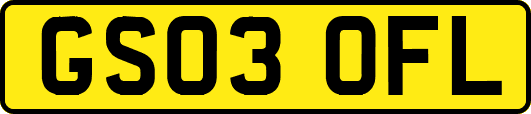 GS03OFL