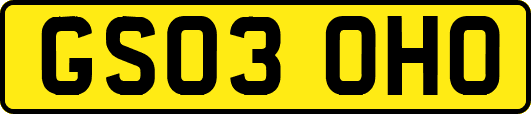 GS03OHO