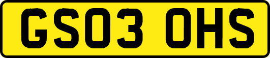 GS03OHS