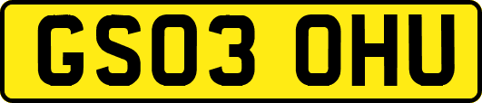 GS03OHU