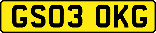 GS03OKG
