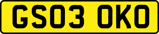 GS03OKO