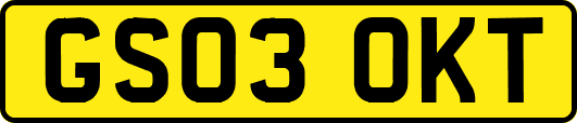 GS03OKT