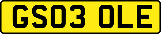 GS03OLE