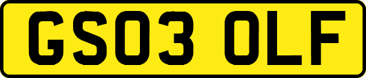 GS03OLF