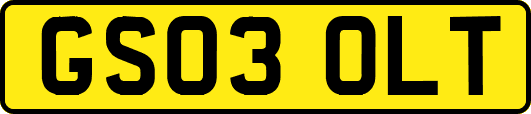 GS03OLT