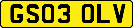 GS03OLV