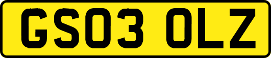 GS03OLZ