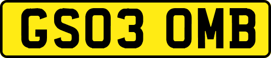 GS03OMB