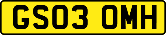 GS03OMH